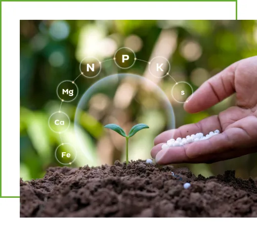 Secondary Major Fertilizer