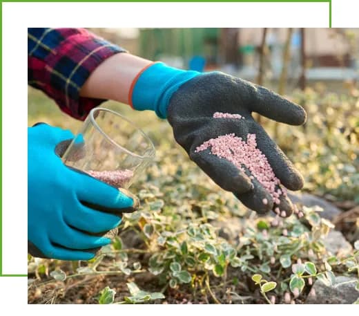 Potassium Fertilizer