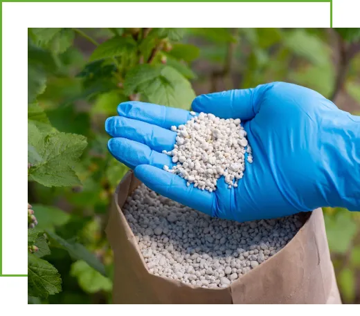 Nitrogen Fertilizer