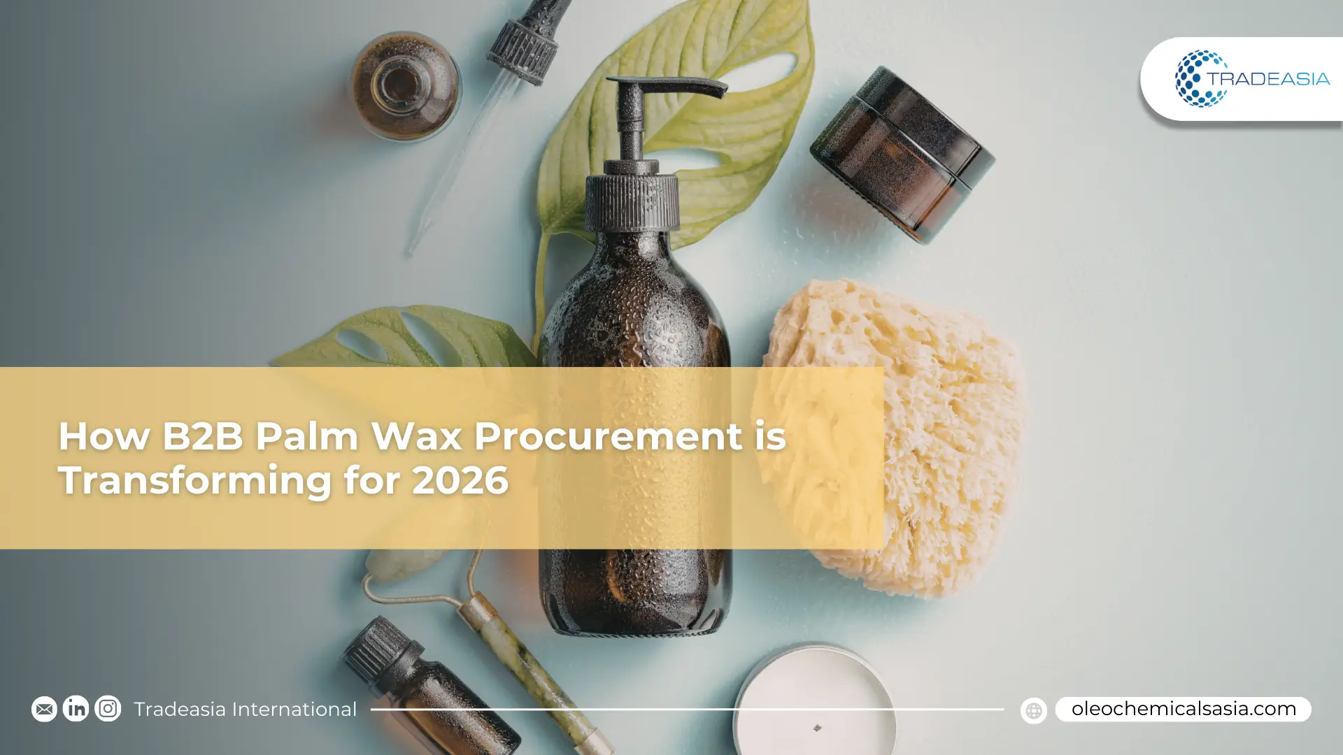 محور الكيمياء الخضراء: كيف تتحول مشتريات B2B Palm Wax لعام 2026