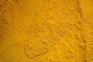 玉米麸质餐(最低蛋白质 60%)-印度尼西亚
